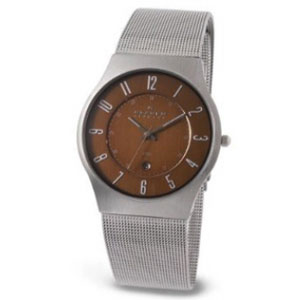 Мужские наручные часы Skagen Steel