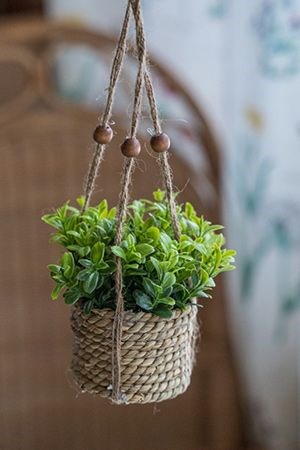 Искусственное растение COZY GREENS в кашпо, 8х12 см