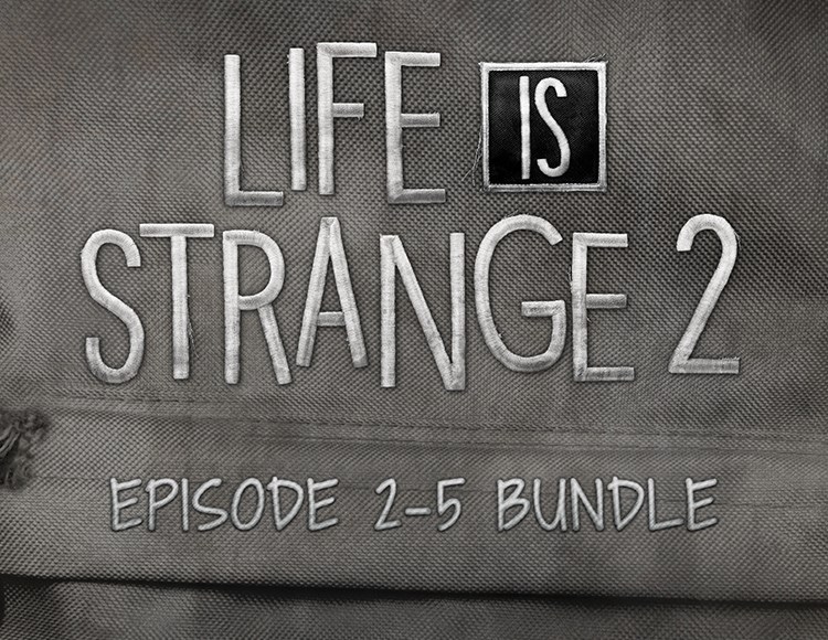 Life is Strange 2 Episodes 2-5 bundle электронный ключ PC