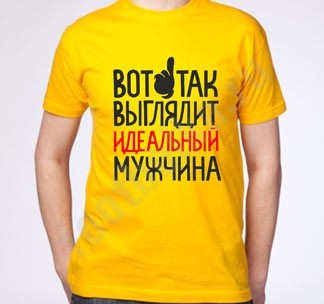 Мужская футболка Вот так выглядит идеальный мужчина