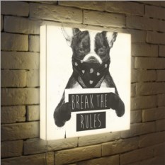 Лайтбокс Break the rules