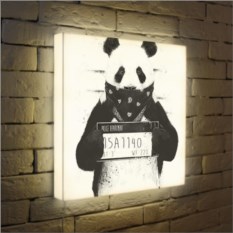 Лайтбокс Панда - бандит