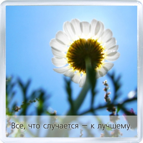 Магнит: Позитивный настрой. Все к лучшему.