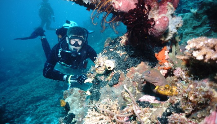 Сертификат Курс SSI Scuba Diver в клубе Одиссей
