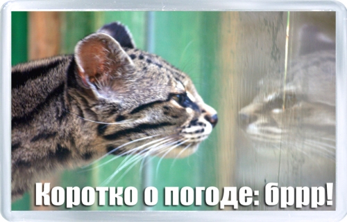 Магнитный подарок: Коротко о погоде