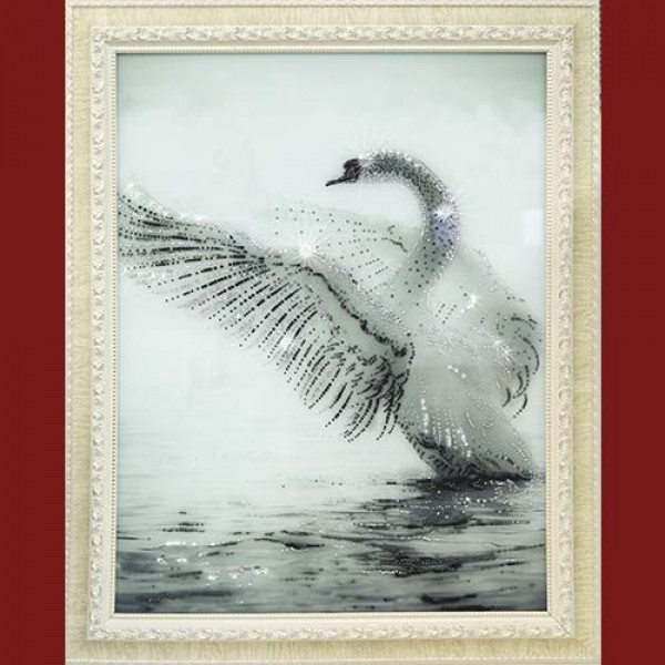 Лебедь Белый Фото И Описание