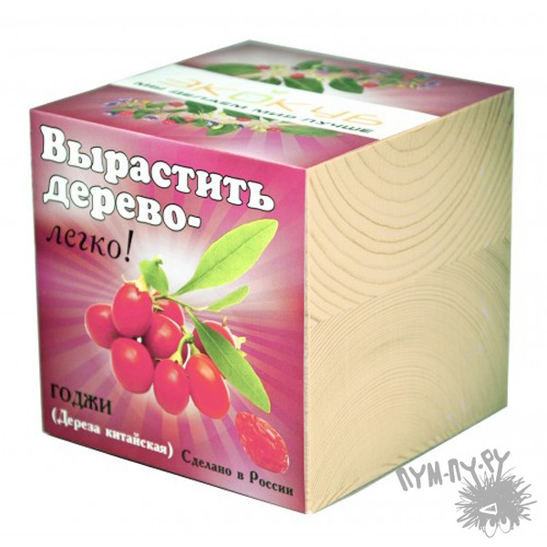 Экокуб Годжи