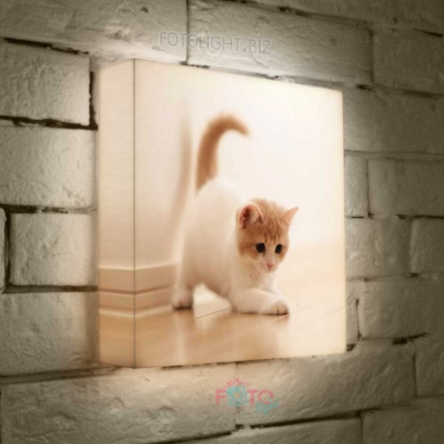 Лайтбокс Котенок