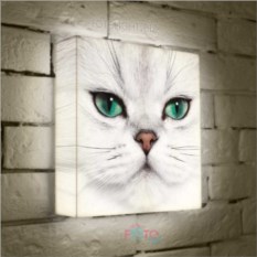 Лайтбокс Кошка
