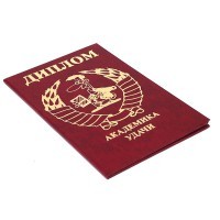 Красный диплом Академика удачи