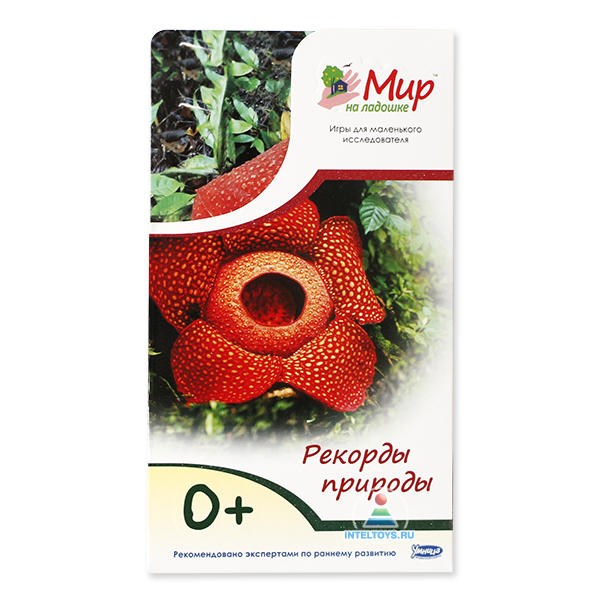 Мир на ладошке «Рекорды природы»