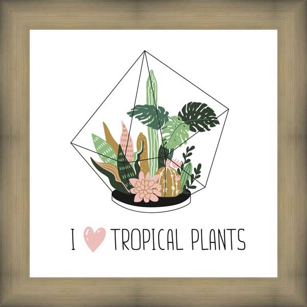 Картина в багете Tropical plants