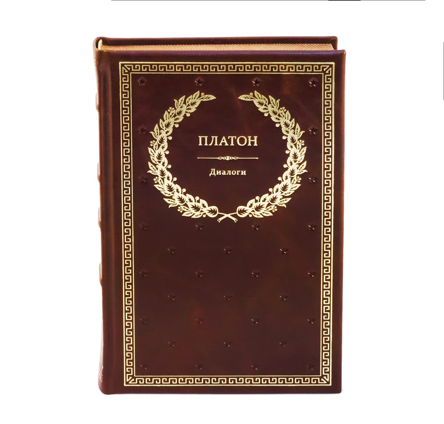 Книга Платон. Диалоги