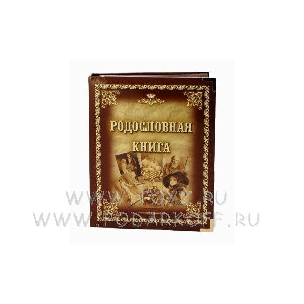 Родословная книга Ретро-портреты, обложка из картона