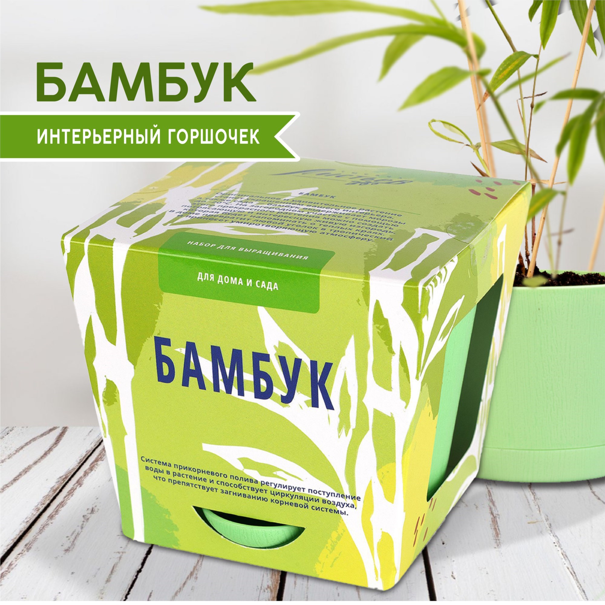 Набор для выращивания «Премиум Бамбук»