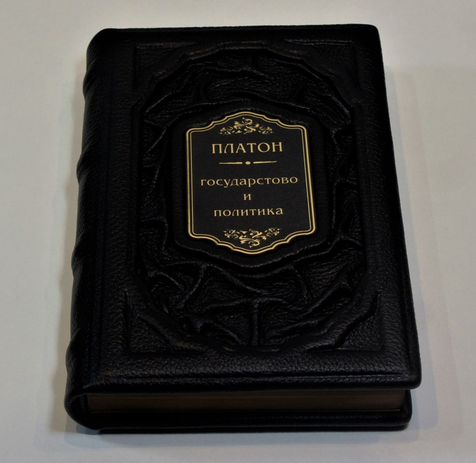 Книга Государство и политика