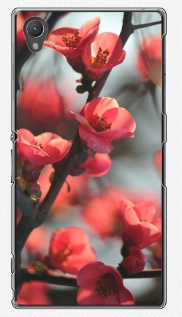 Чехол для Sony Xperia Z1 (пластик), красные цветы