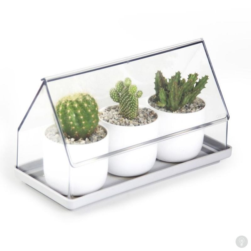 Лоток для выращивания растений Micro Green House