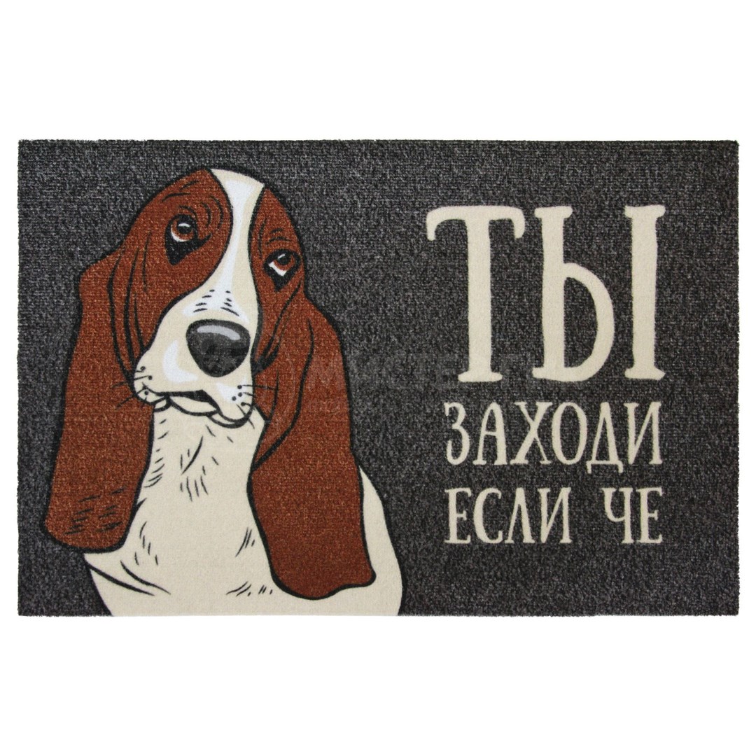 Коврик для входной двери Ты заходи если че!