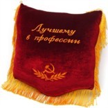 Подушка Лучшему в профессии