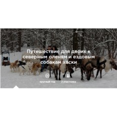 Экскурсия к северным оленям и хаски для 2 взрослых