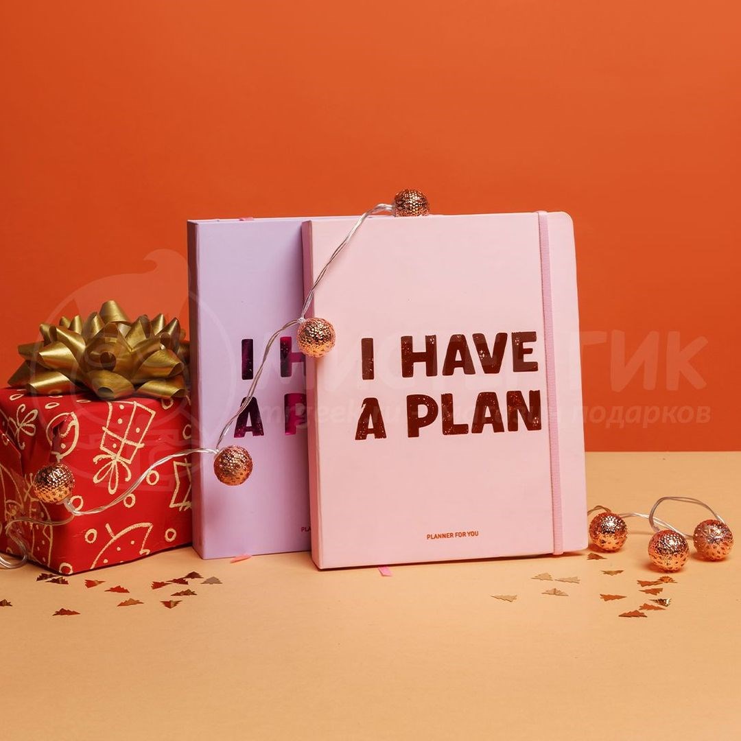 Планер на кольцах I have a plan