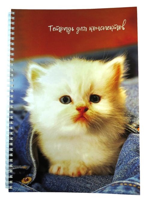 Тетрадь для конспектов