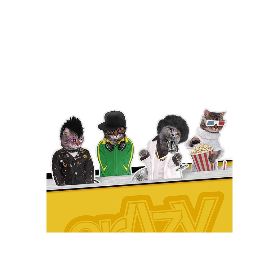 Набор магнитных закладок Crazy Cats