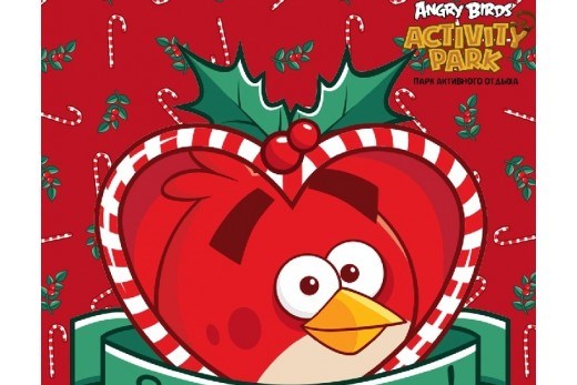 Сертификат в Парк активного отдыха Angry Birds Activity Park