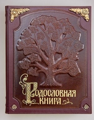 Родословная книга с бронзовыми накладками