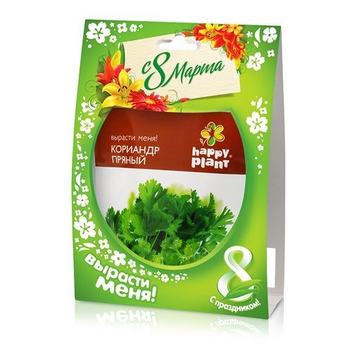 Happy plant Кориандр - серия 8 марта