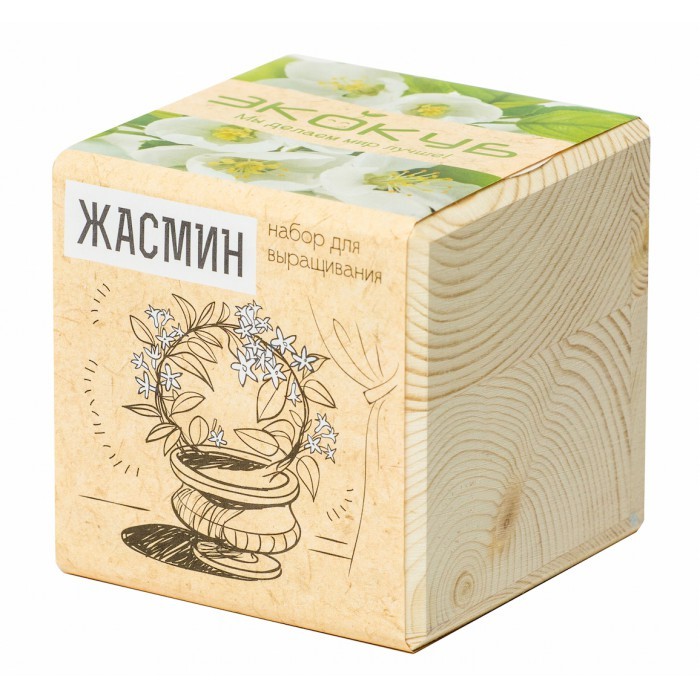 Эко куб Жасмин кустарниковый