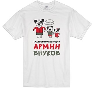 Футболка Главнокомандующий армии внуков