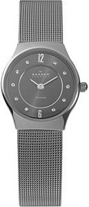 Женские наручные часы Skagen 233XSTTM