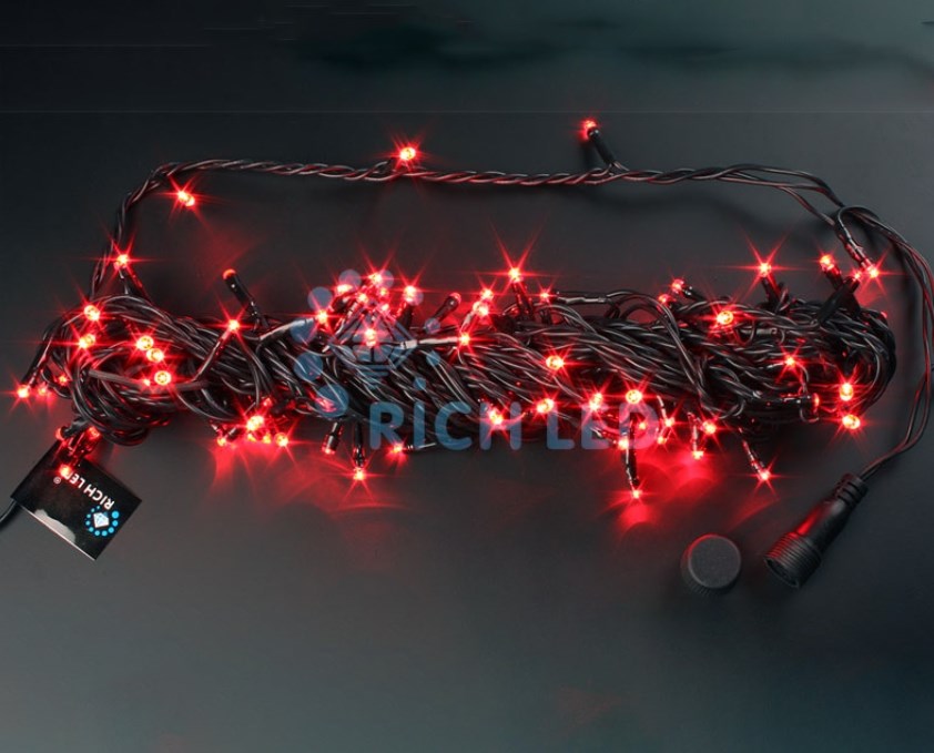 Гирлянда Rich Led RL-S10C-24V-B/P