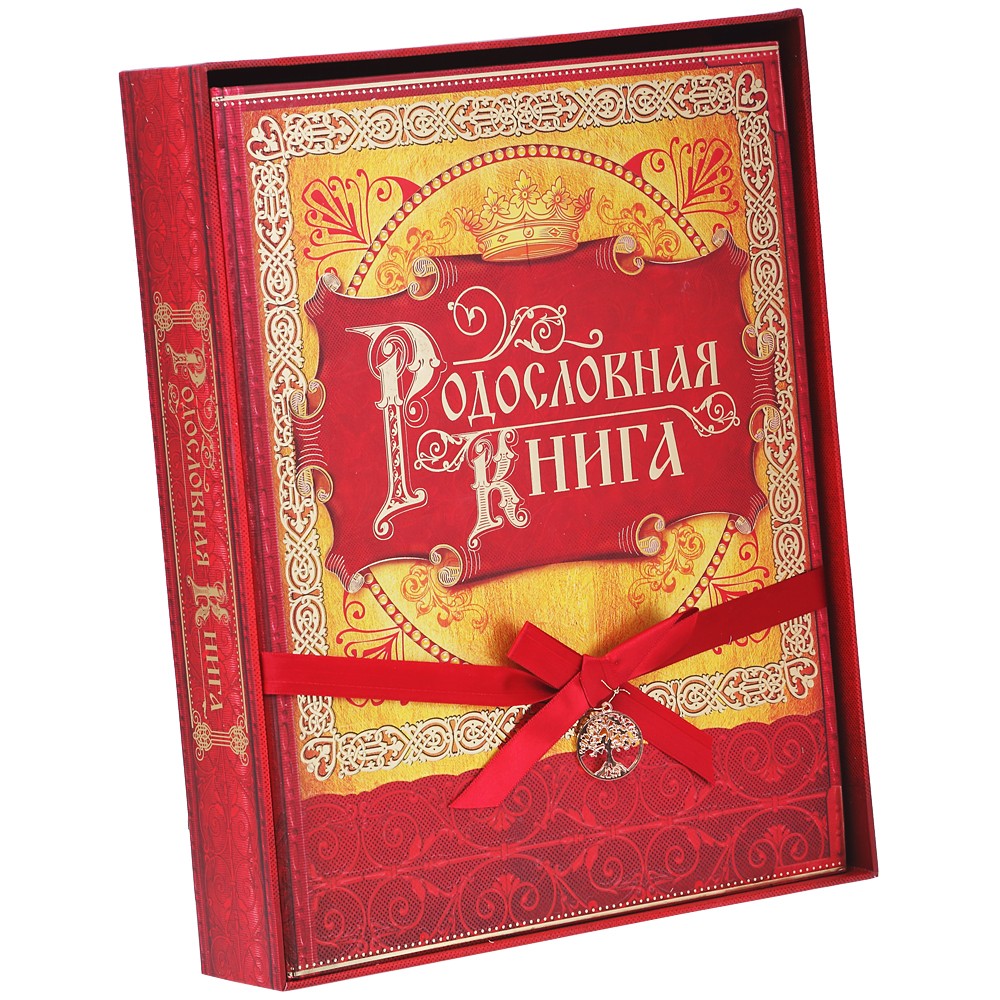 Родословная книга «История семьи»