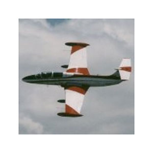 Высший пилотаж на L-29