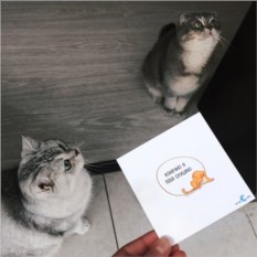 Открытка с наклейкой Конечно слушаю