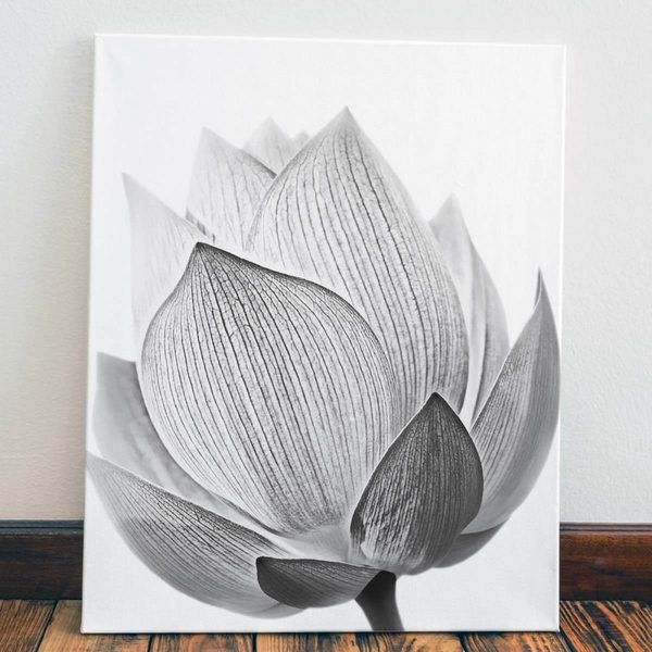 Картина Черно-белый бутон