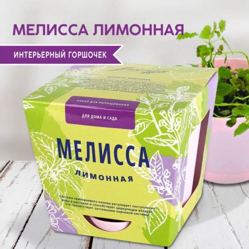 Набор для выращивания растений «Тысяча листьев – Мелисса лимонная»