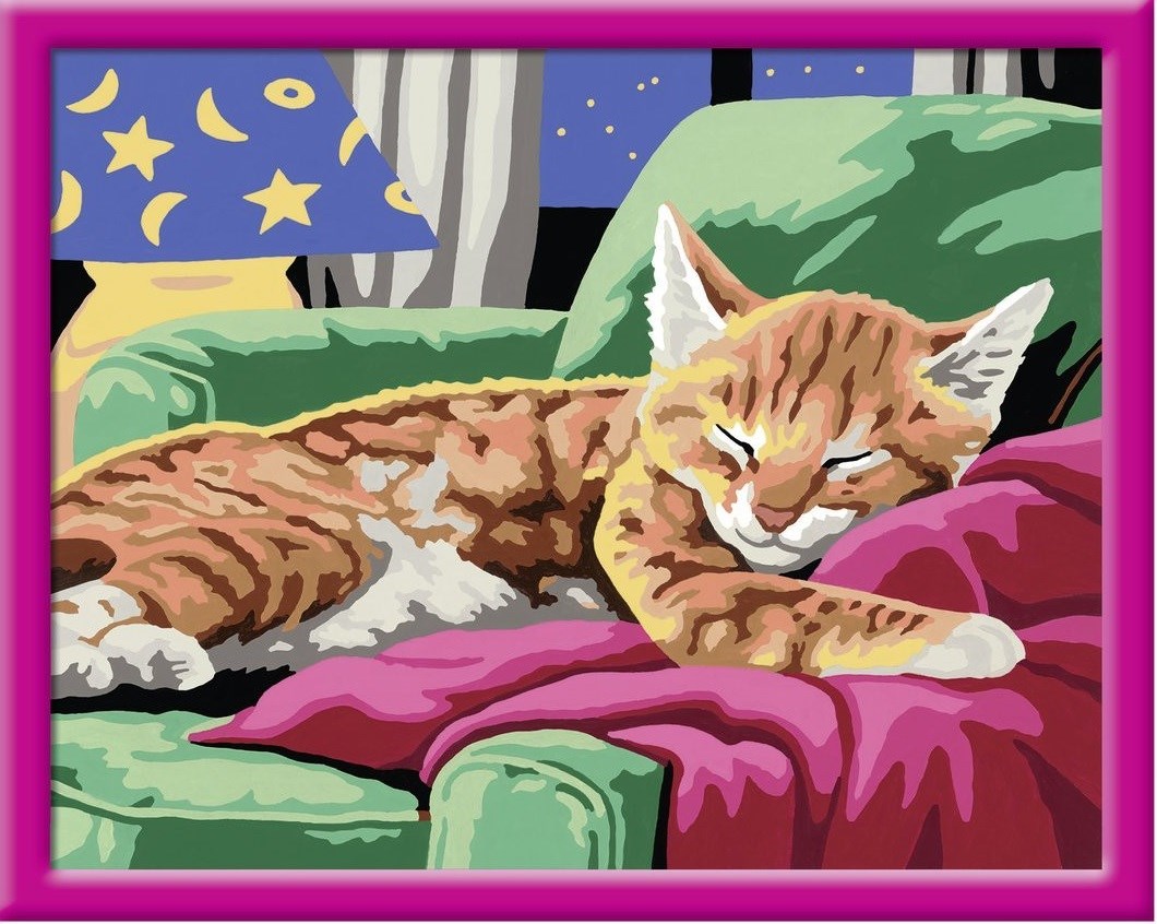 Картина по номерам сон кота