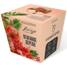 Набор для выращивания растений - Огненное дерево