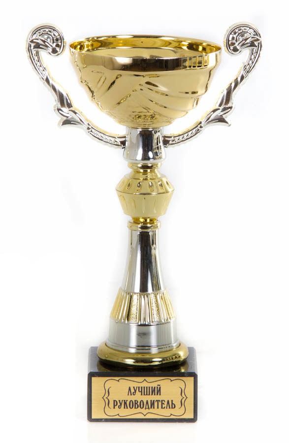 Золотой кубок-чаша с ручками Лучший руководитель