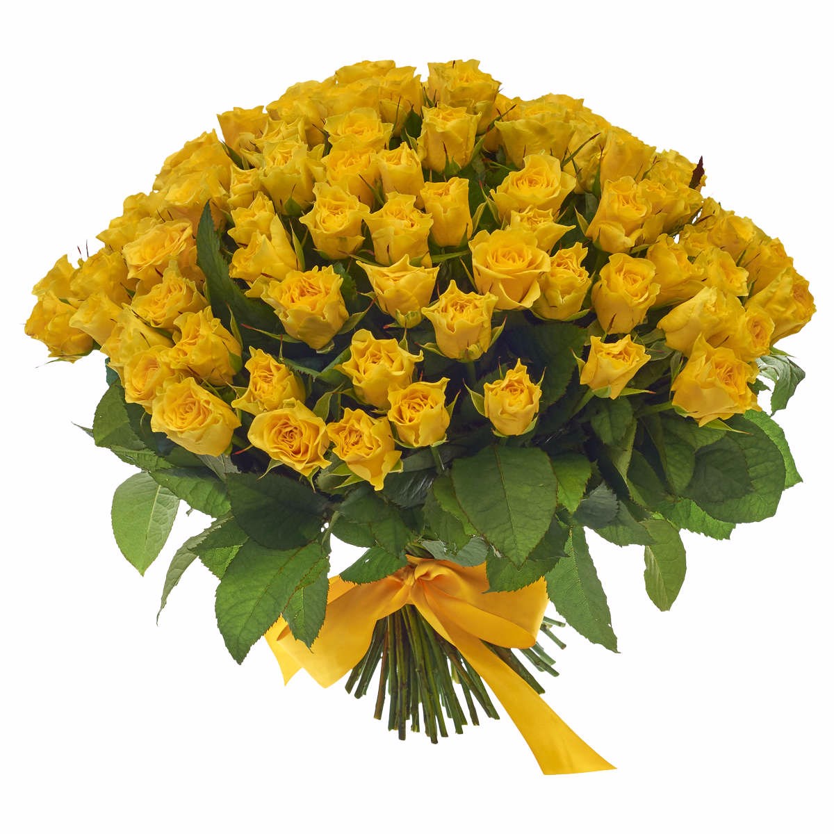 Кения желтая роза 40 см