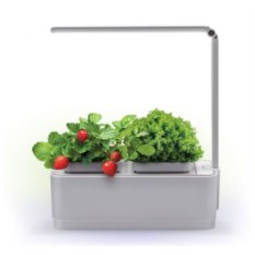 Смарт-сад с подсветкой iGarden LED
