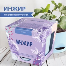 Набор для выращивания растений - Инжир