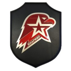 Плакетка Юнармия