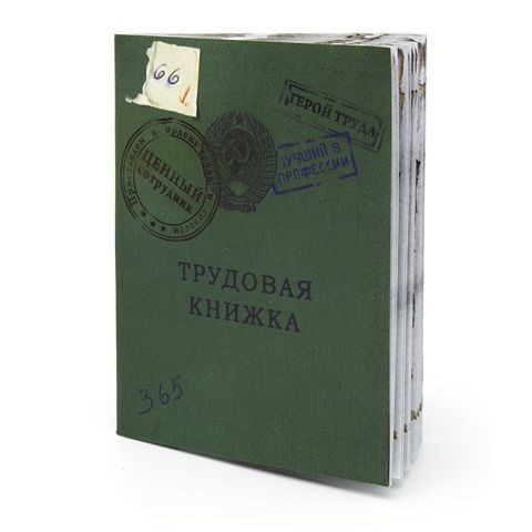 Трудовая книжка смешная картинка