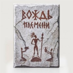 Обложка на паспорт Вождь племени