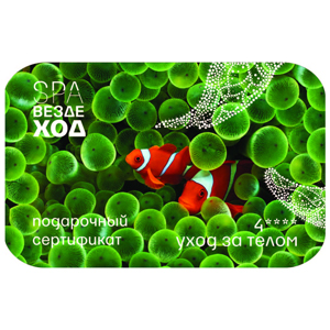Spa-Вездеход: Уход за телом, 4****